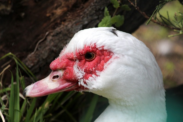 了全球的广 了全球的广